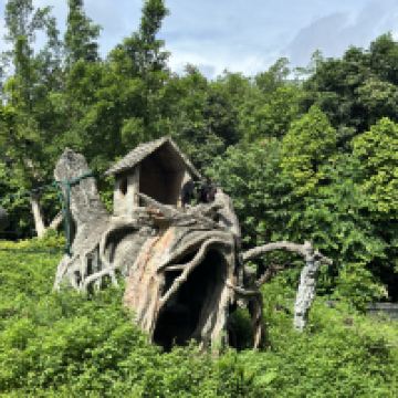 評論圖片 3