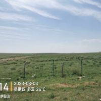 評論圖片 3