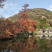 評論圖片 3