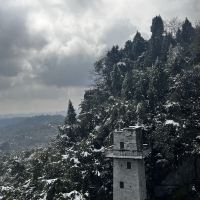 評論圖片 9
