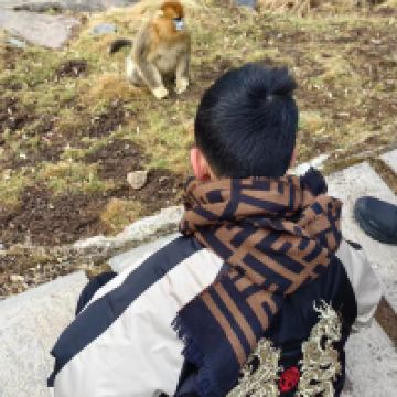 評論圖片 4