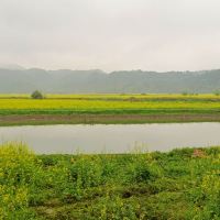 評論圖片 5