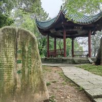 評論圖片 3