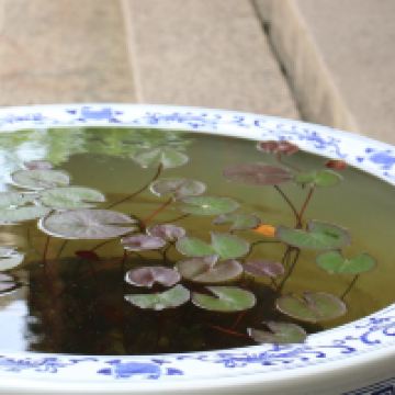 評論圖片 5