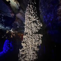 評論圖片 4