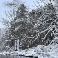 評論圖片 1