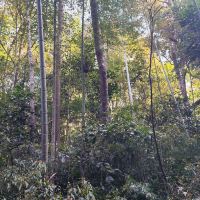 評論圖片 7