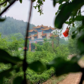評論圖片 4