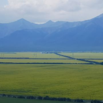 評論圖片 7
