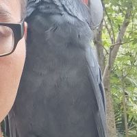 評論圖片 1