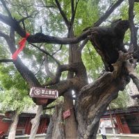 評論圖片 9