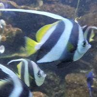 評論圖片 7