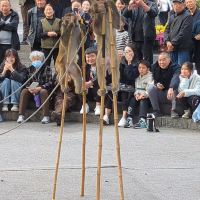 評論圖片 8