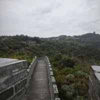 評論圖片 5