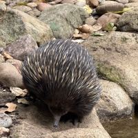 評論圖片 5