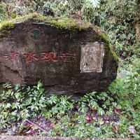 評論圖片 3