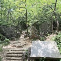 評論圖片 6