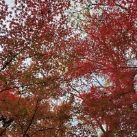 評論圖片 8