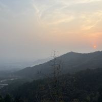 評論圖片 1