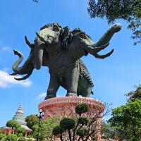 評論圖片 6