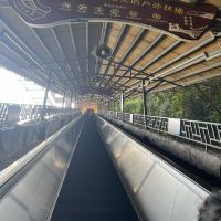 評論圖片 4