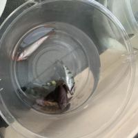 評論圖片 2