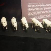 評論圖片 3