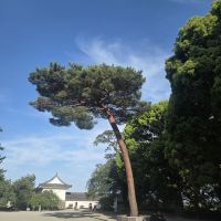 評論圖片 2