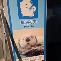評論圖片 3