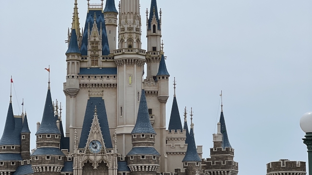 review picture