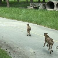 評論圖片 2