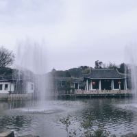 評論圖片 6