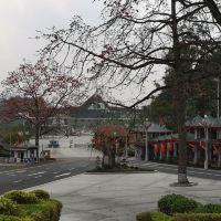評論圖片 8