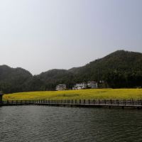 評論圖片 4