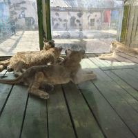 評論圖片 3