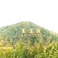 評論圖片 1