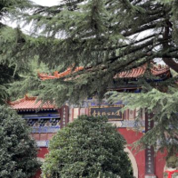 評論圖片 5