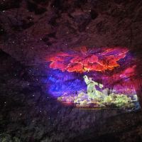 評論圖片 6