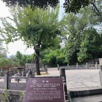 評論圖片 2