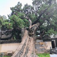 評論圖片 4
