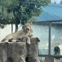 評論圖片 1