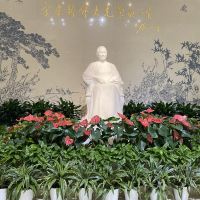 評論圖片 8