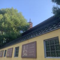 評論圖片 9