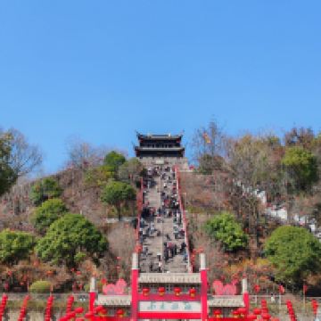 評論圖片 9