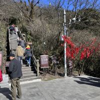 評論圖片 2