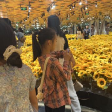 評論圖片 4