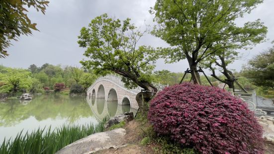 佛顶宫内景象十分壮观，走进去有一种被震撼到的感觉，佛顶塔内的