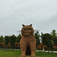 評論圖片 5