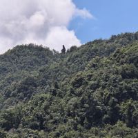評論圖片 4
