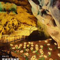 評論圖片 4
